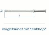 8 x 60mm Nageld&uuml;bel m. Senkkopf Edelstahl A2 (1 Stk.)