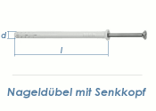 6 x 50mm Nageld&uuml;bel m. Senkkopf (10 Stk.)