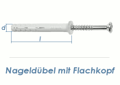 6 x 60mm Nageld&uuml;bel m. Flachkopf Edelstahl A2 (10 Stk.)