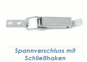 102 x 16,5mm Spannverschluss Edelstahl inkl. Schlie&szlig;haken (1 Stk.)