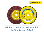 125mm F&auml;cherscheibe K40 gew&ouml;lbt 6&deg; mit trimbarem Grundteller  - SMT975 Special (1 Stk.)
