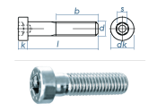 M5 x 12mm Zylinderschraube DIN6912 Stahl verzinkt FKL 8.8  (10 Stk.)