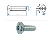 M4 x 10mm Linsenflachkopfschraube m. Flansch ISK...